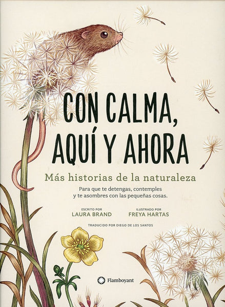 CON CALMA, AQUÍ Y AHORA | LAURA BRAND