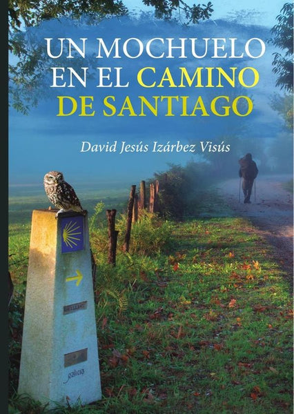Un mochuelo en el camino de Santiago | David Jesús  Izarbez Visus