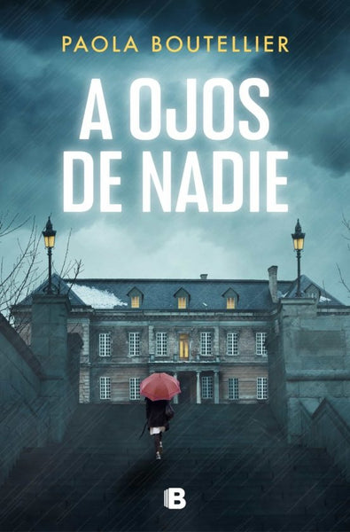 A ojos de nadie | Paola Boutellier